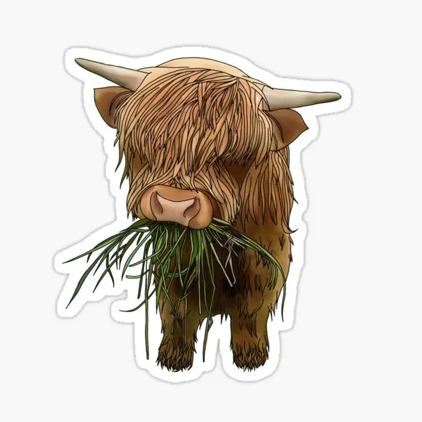 Baby Highland Cow  5PCS Stickers for Funny Living Room Bumper Home Laptop Room Print Car Stickers Cute Window Decor  Wall