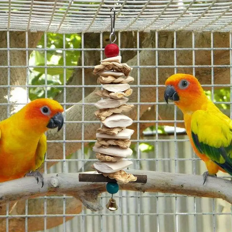 Kauspielzeug für Papageien, Vögel, Papageien, Schaukel, lustiges Vogelspielzeug mit natürlichem Luffa-Schredder, Hängespielzeug, Chook und mittelgroße Papageien, Sittiche