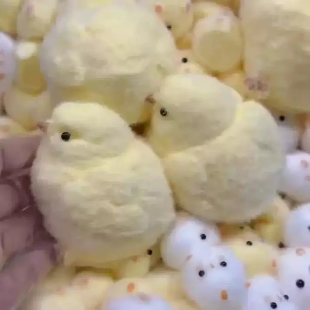 Juguete Blandito de Pollito, Juguete Antiestrés Divertido para la Oficina, Juguete Sensorial de Lenta Recuperación para Adultos y Niños