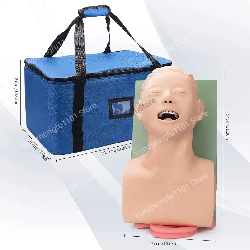 220V 110V Adult Airway Management Trainer Tracheal Intubation Training Simulator Model Airway Managment Trainer with Tube