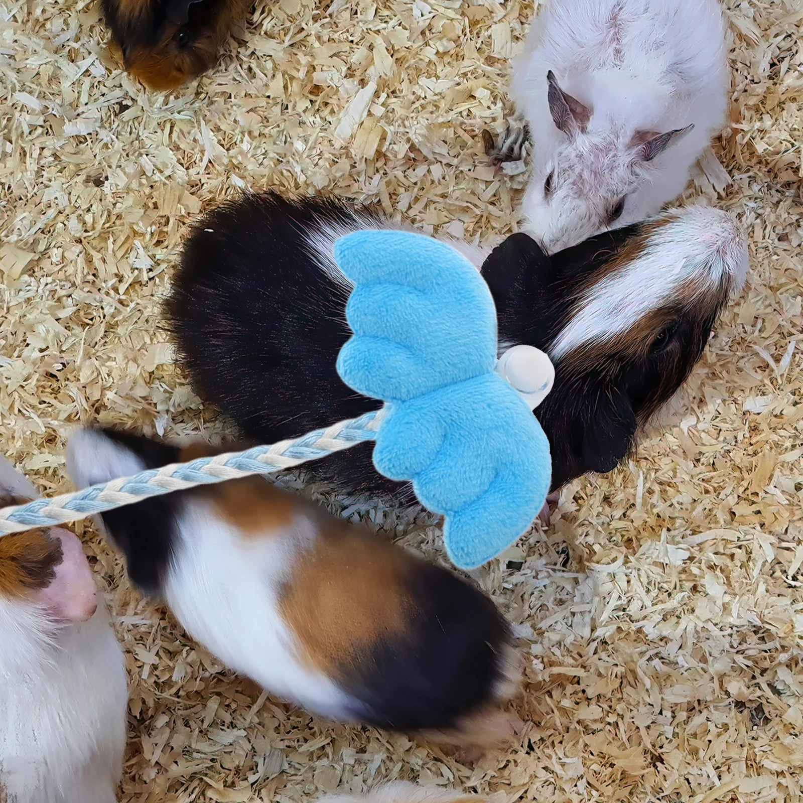 تصميم سترة الهامستر الرصاص والحزام القابل للتعديل مريح للحيوانات الأليفة الصغيرة الهامستر شينشيلاس خنازير غينيا معدات المشي للحيوانات الأليفة