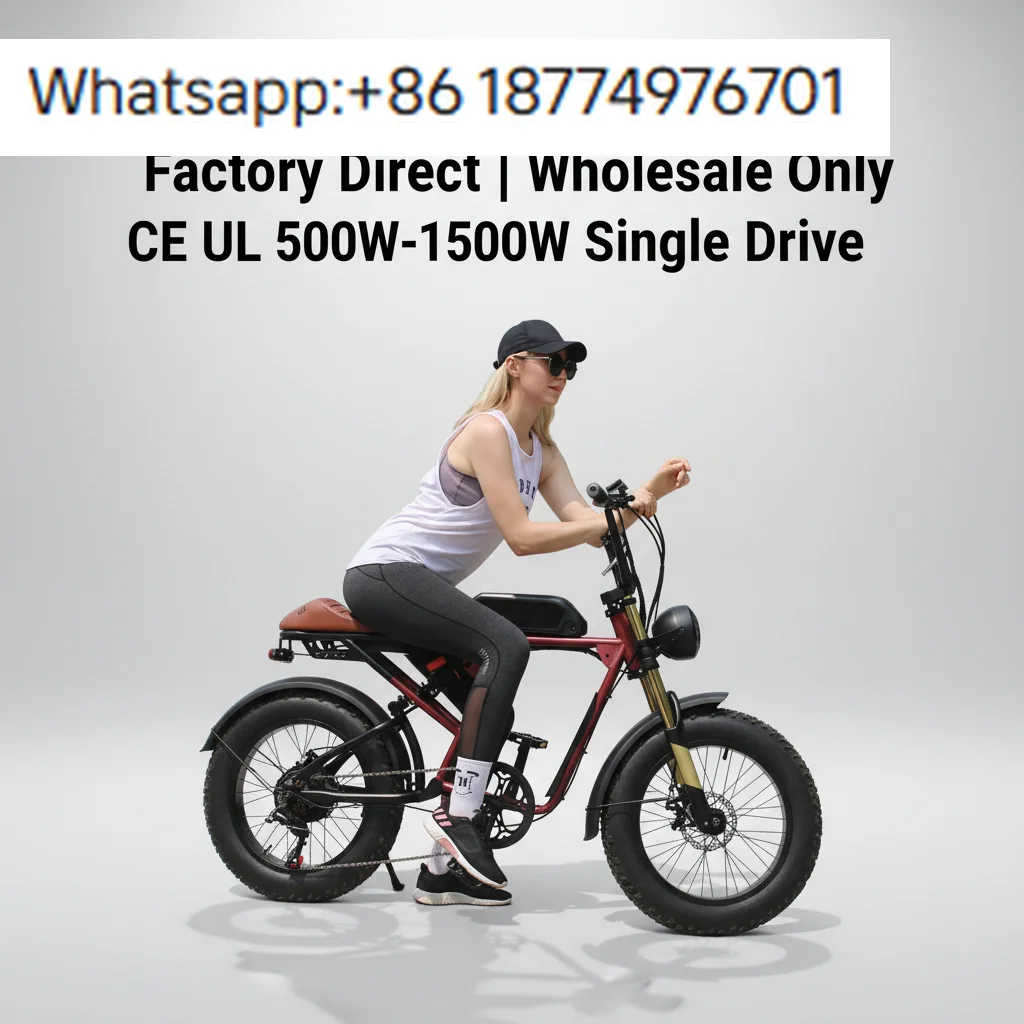 

Оптовая продажа с завода: Гибридный электровелосипед 250W 48V 15AH с дисковыми тормозами, широкими шинами 20x4.0 для снега, в наличии, для взрослых