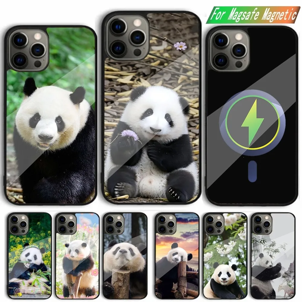 Cute Fubao Panda Animal Phone Case For iPhone 15,14,13,12,11,Plus,Pro,Max Mini Magsafe Magnetic Wireless Charging