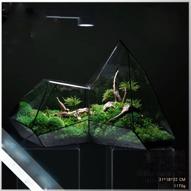 Landscape Planter Moss Rainforest Tank Geometric Glass Flower Vase Irregular Ecological Vase Succulent Water Plant Vase ZF992
