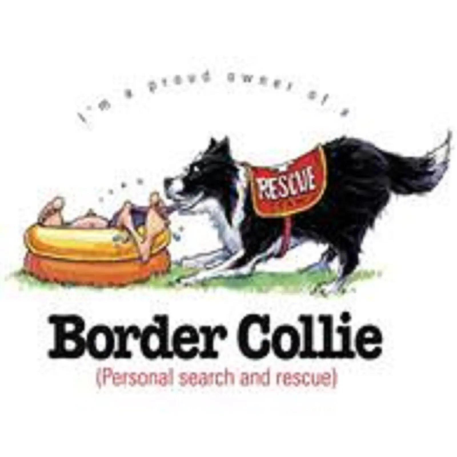 Забавная футболка с изображением границы колли, размеры от 7 до 14, большой выбор для выбора длинных или коротких рукавов