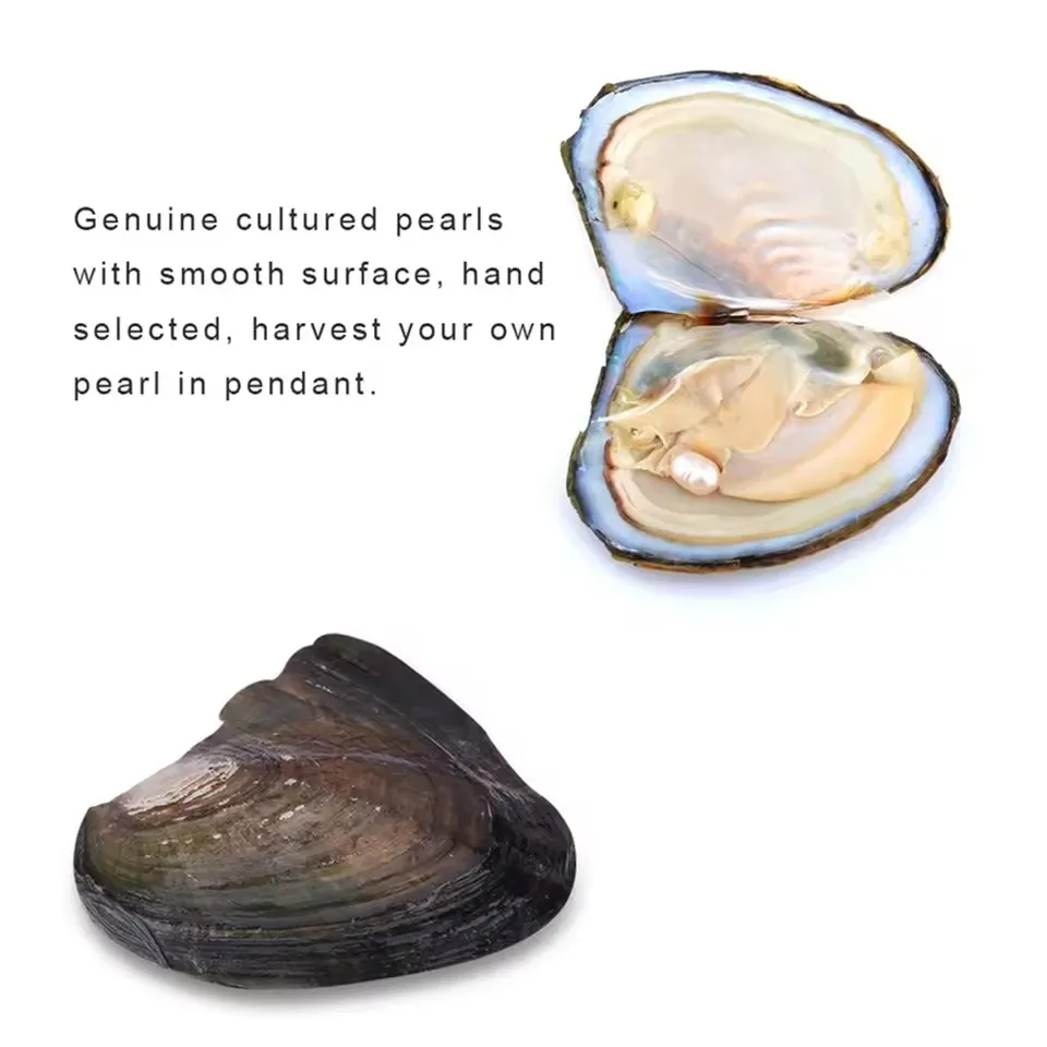 Desejo pérola colar kit inovador corrente charme para presente de feriado encantos diy para fazer jóias charme pingente conjunto