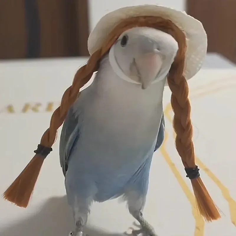 

Budgerigar Cockatiel Peony Parrot Hand Woven Headband Bird Hat Pet Small Hairgear Headgear Adjustable Birds Toys Accessories
