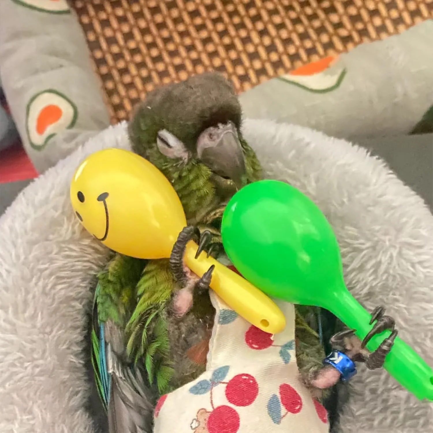 5Pcs Mini Parrot Sand Hammer Rattle Toy Bird Chew Sound Shaker Bell Interactive Entertainment PlayForBudgies Parakeet Cockatiel