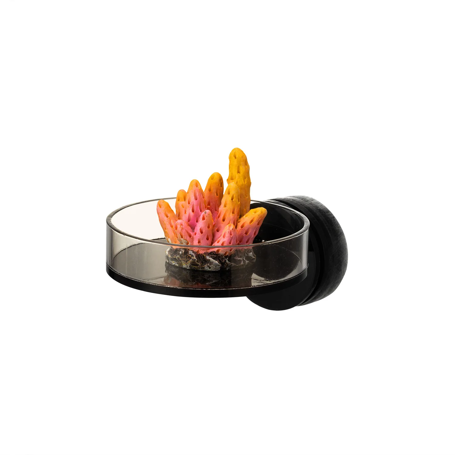 Marine Sources 70mm Black Magnetic Coral Frag Rack -  Strong Hold Floating Shelf for SPS Corals, Anti-Blow Aquarium Tool