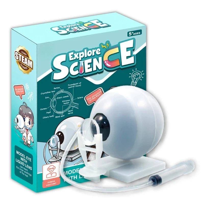 Bionic Eye Assembly Model Human Eyeball Internal Structure Imaging Principle Science Popularization DIY Kit