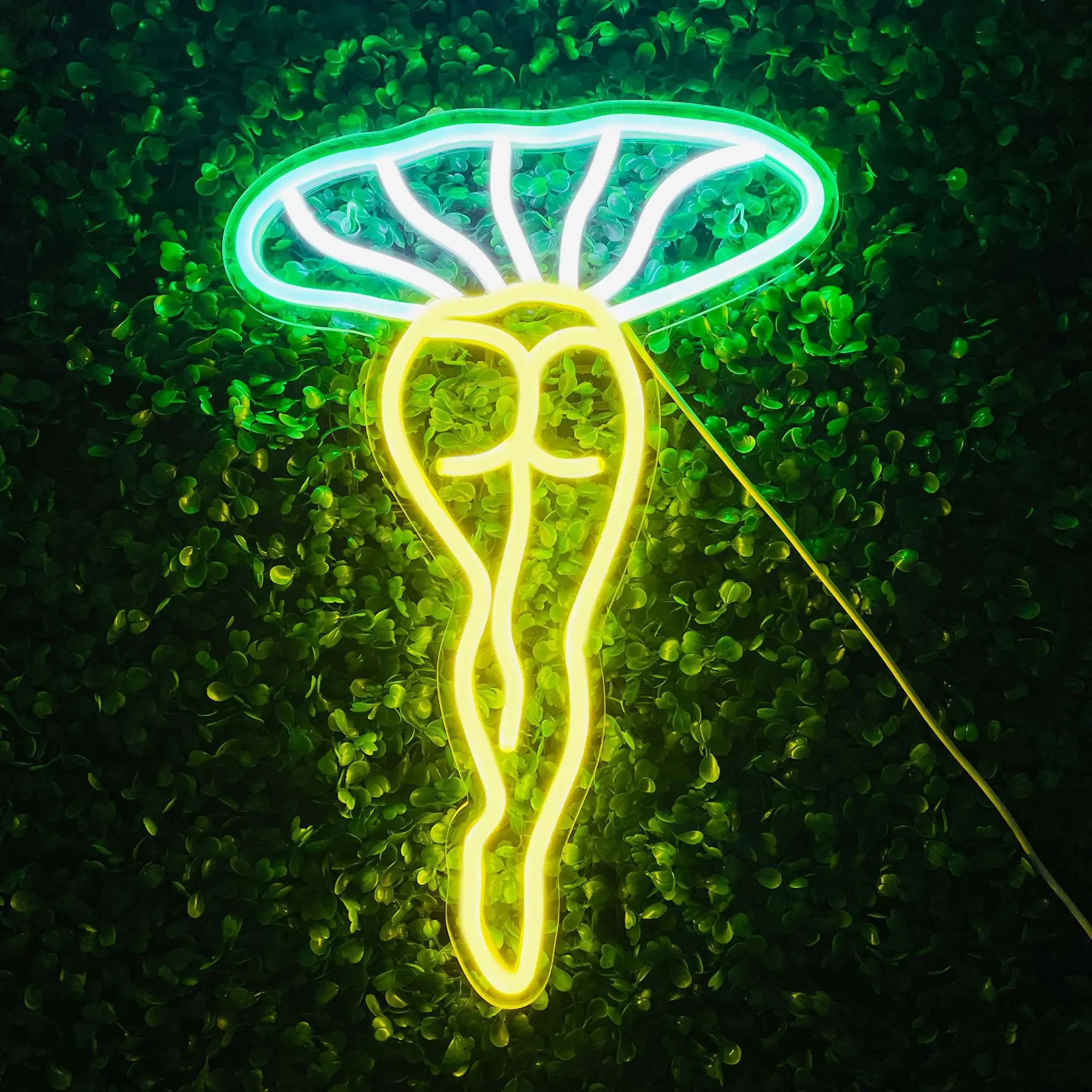 

Lady Mushroom Neon Light LED Night Lights USB Connected Sign for Man Cave Home Bar Bedroom Wall Decor Party Art Gift for Her