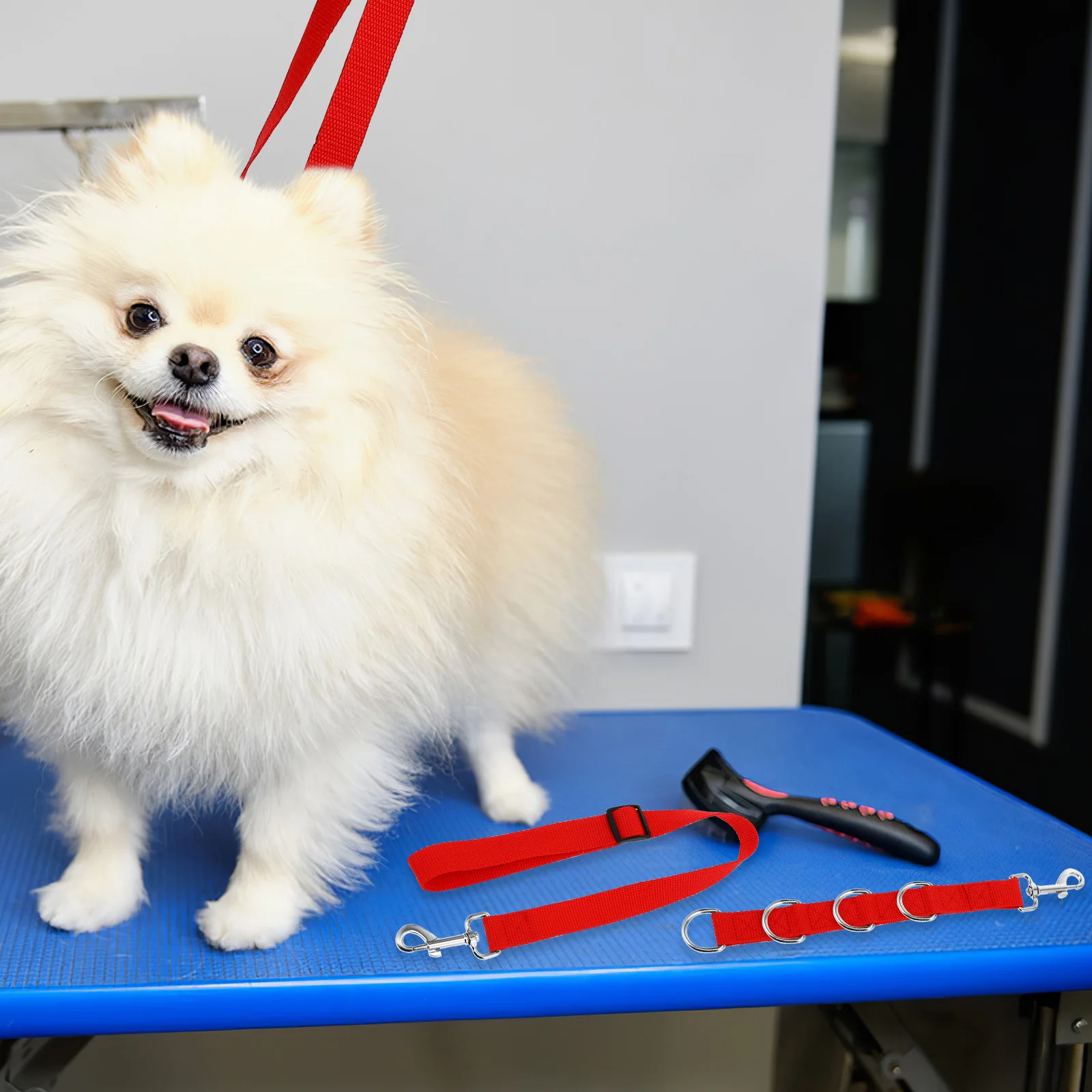 1セット ペットロープ 調節可能な犬用入浴コード 耐久性のあるグルーミングテーブルアクセサリー 犬の入浴グルーミングヘルパーストラップ