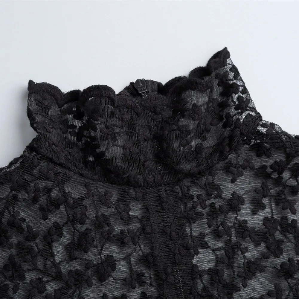 Transparent Lace Fake False Collar Hollow Elegant Detachable High Collar Black and Apricot Floral Embroidery