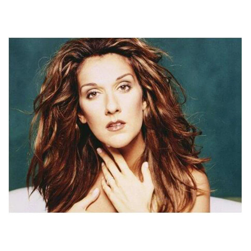 

DIY Wall Sticker Famous Singer Celine Dion Picture Diamond Painting Embroidery Rhinestone Needlework Bedroom Decor Gift EE0313