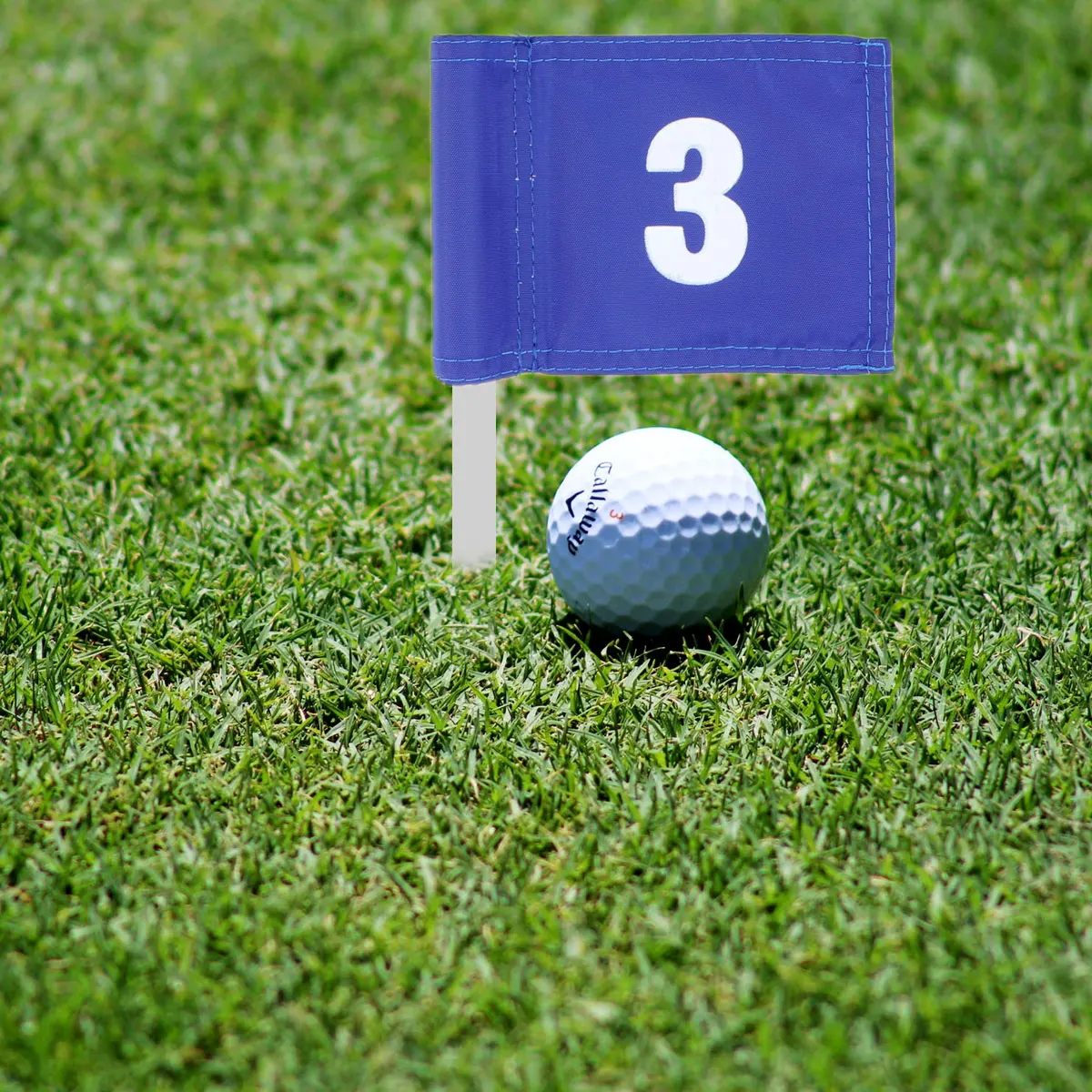 

3pcs Training Practice Flag Yard Putting Green Lightweight Durable Portable Outdoor Indoor Marker Flags Golf Accessories For