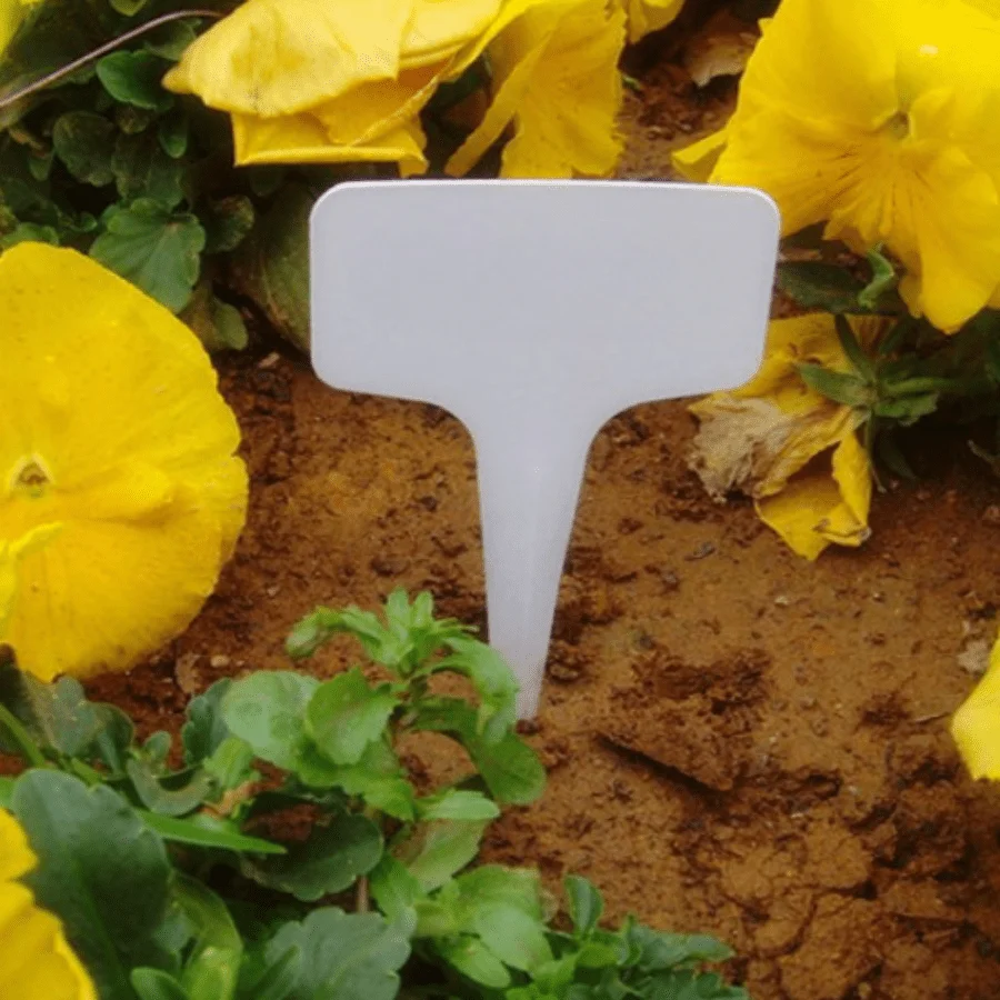 100pcs White Plastic PVC Plant T-type Tags Markers Nursery Garden Labels Seedling Tray  Pots Decoration   6x10cm