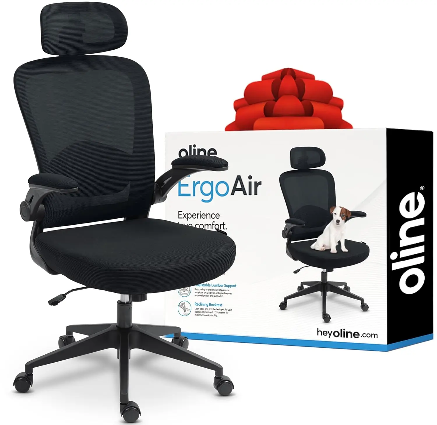 

Ergonomic Office Chair – Adjustable Lumbar Support, Flip-Up Armrests, Mesh Computer Desk Chair, Swivel, Customized