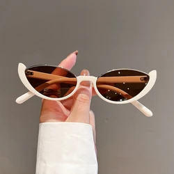 KAMMPT New in Small Cat Eye Sunglasses Women Trendy Vintage Composite Shades Eyewear Fashion Luxury Brand Designer Sun Glasses