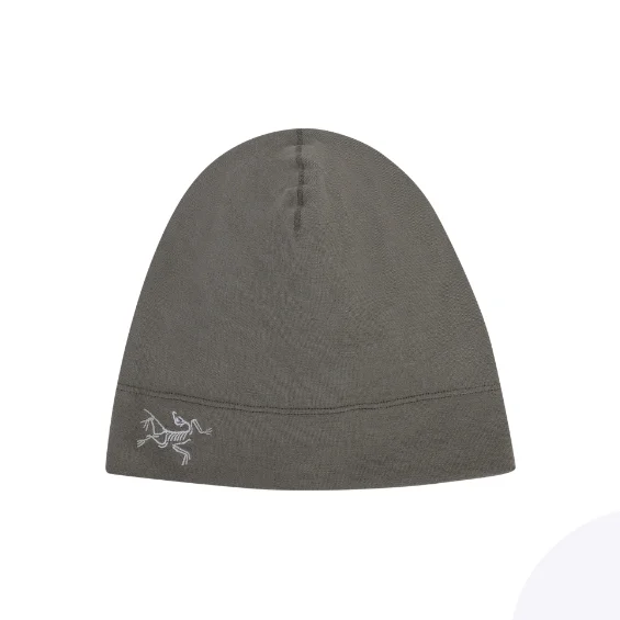Arc'teryx Wool Beanies Men's Forage Mist Green X000005990-L07981900