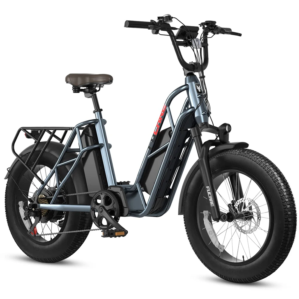 Dual Lithium Battery 120 Miles Long Range 20 Inch Fat Tire Hydraulic Brake Step-Through Electric Road Bike With Rear Rack