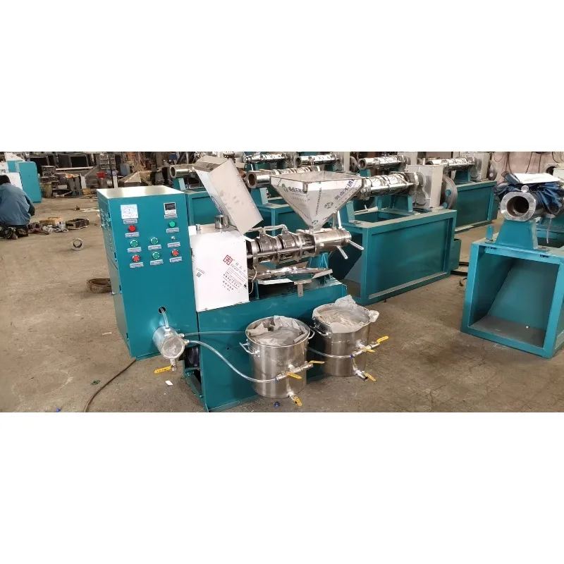 50-100kg/hour Sunflower Oil Press with Vacuum Filter System and Tanks Customized Commercial Peanut Oil Making Machine Oil Press