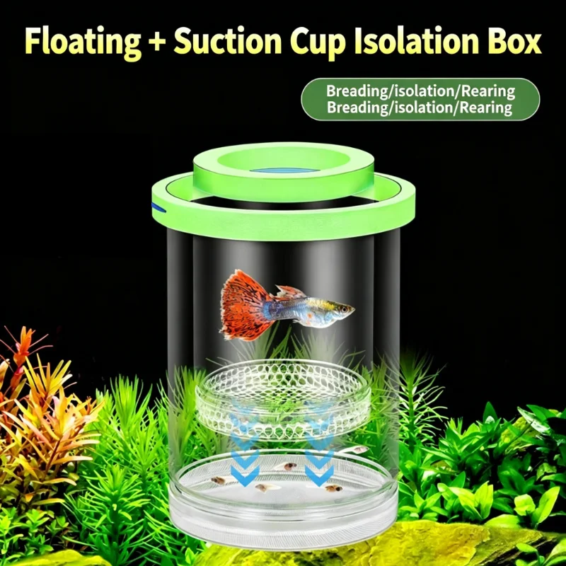 Transparent Floating Aquarium Hatch Box, Multifunctional Fish Breeding Separator for Guppy Zebra Betta Fry Isolation Supplies view 3