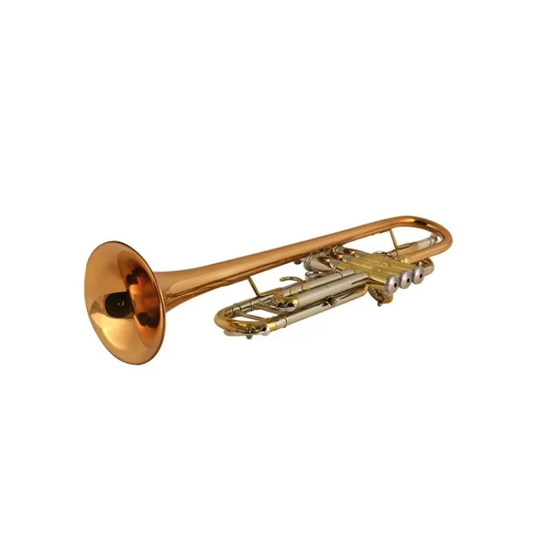 

Professional trumpet wind instrument, straight piston