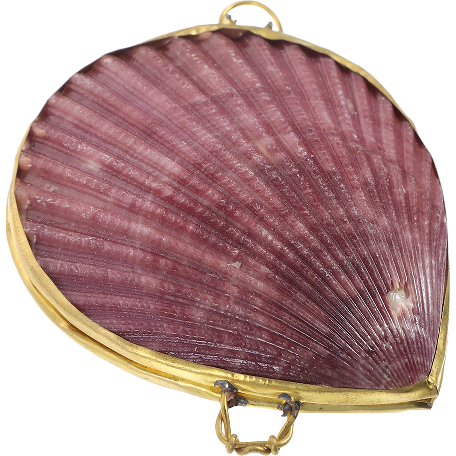 

Trinket Storage Box Shell Jewelry Case Compact Seashell Jewelry Holder Stylish Decorative Storage Organizing Case Sundries