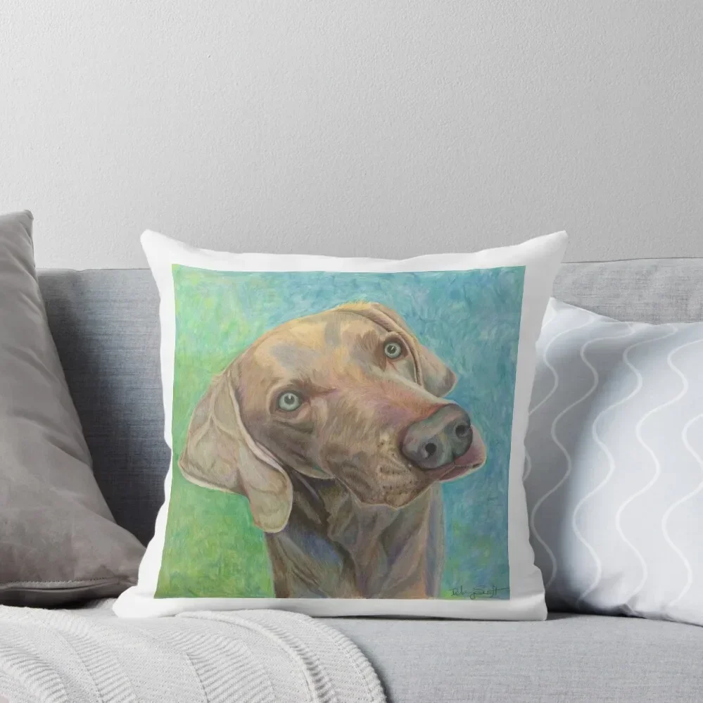 Colorful Weimaraner Throw Pillow Decorative Sofa Cushion Christmas Throw Pillows Covers Marble Cushion Cover pillow