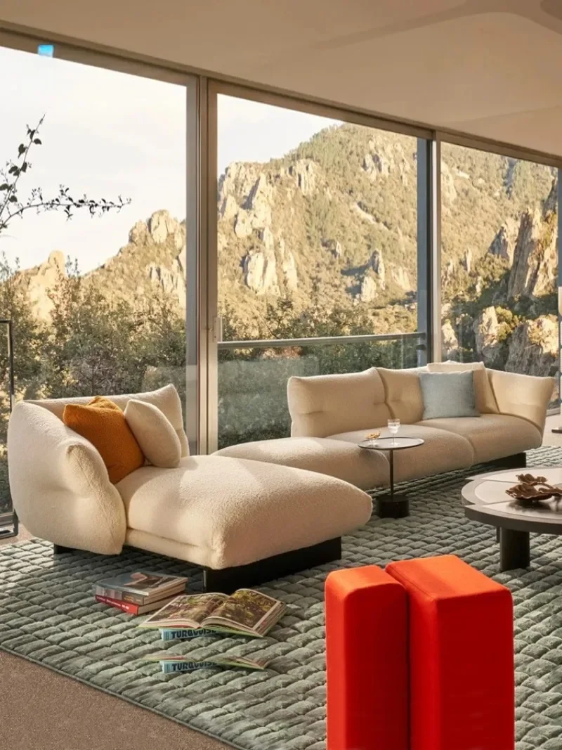 French large flat-floor living room module petal combination sofa new cloud sofa