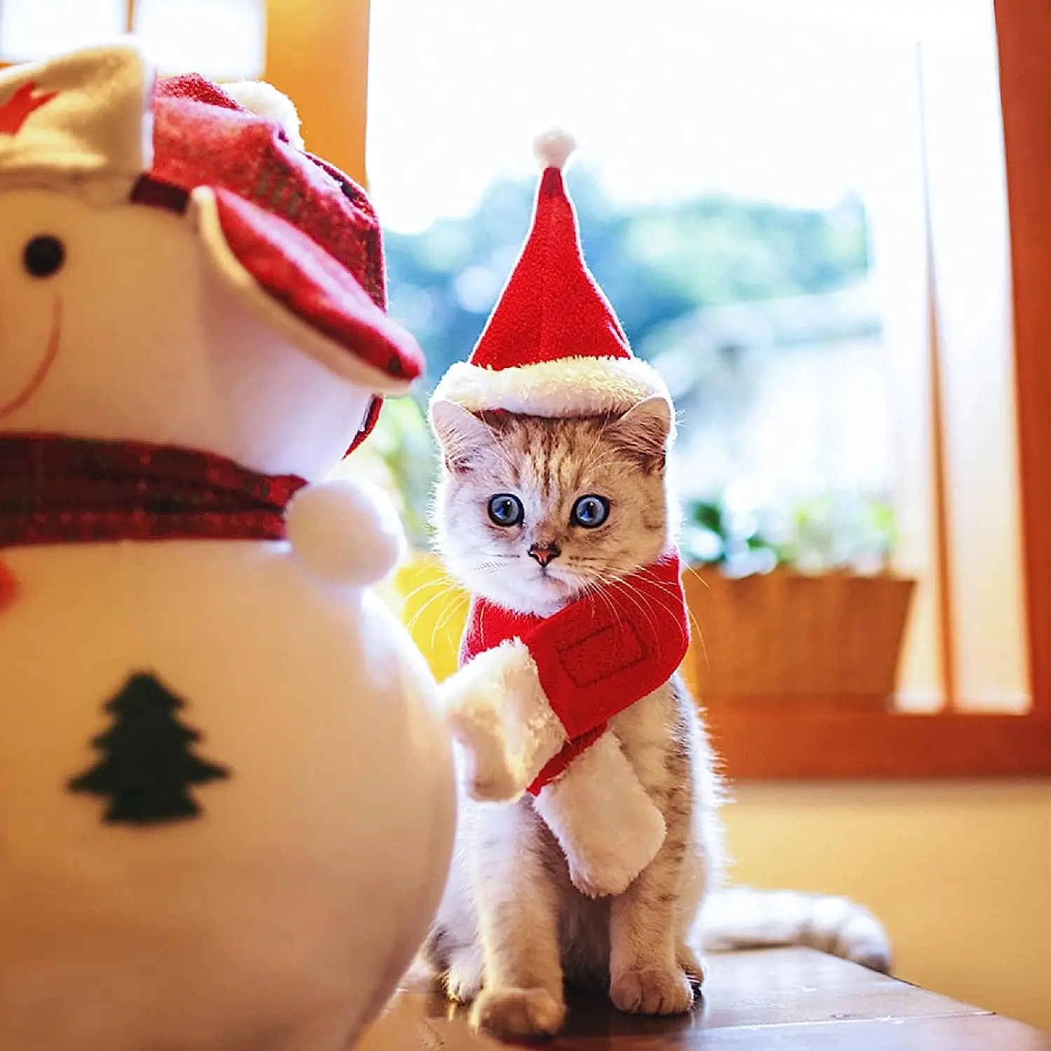 ATUBAN Christmas Cat Costume Small Dog Santa Hat with Scarf Kitty Xmas Outfit Apparel Pet Santa Claus Set for Kitten, Puppy