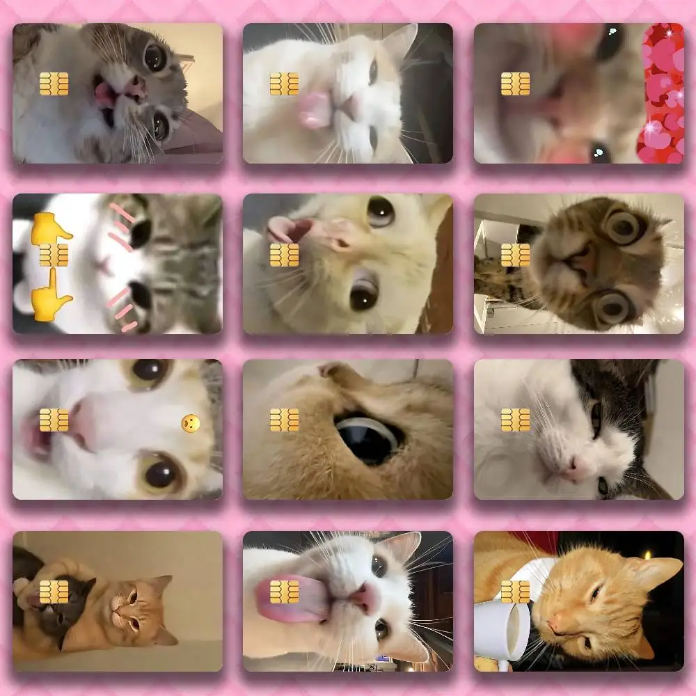 

Funny Cat Meme Credit Card Skin Stickers for Bank Card Bus Metro Card Sticker Waterproof Women Gift