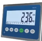 IND231/236 Weighing Instrument Multi scale Special Instrument