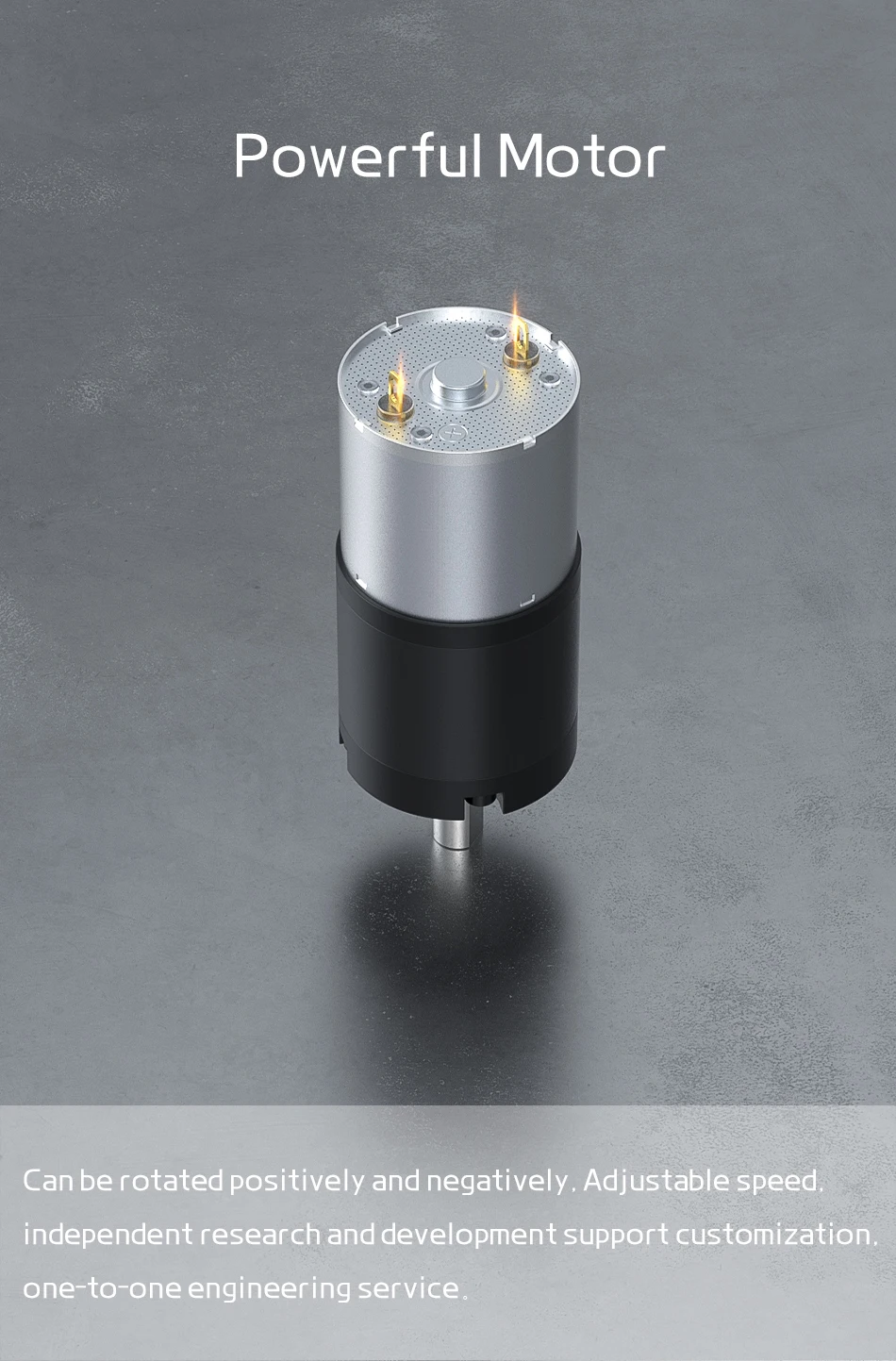 36GP-3530 Planetengetriebemotor DC 12V/24V Einstellbare Geschwindigkeit ​ ​ 8 U/min ~ 1621 U/min Micro-Gleichstrom-Bürstenmotor mit hohem Drehmoment – Detail 12