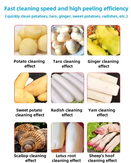 root vegetable ginger potato washing peeling cleaning machine commercial vegetable cassava sweet potato carrot washing machine