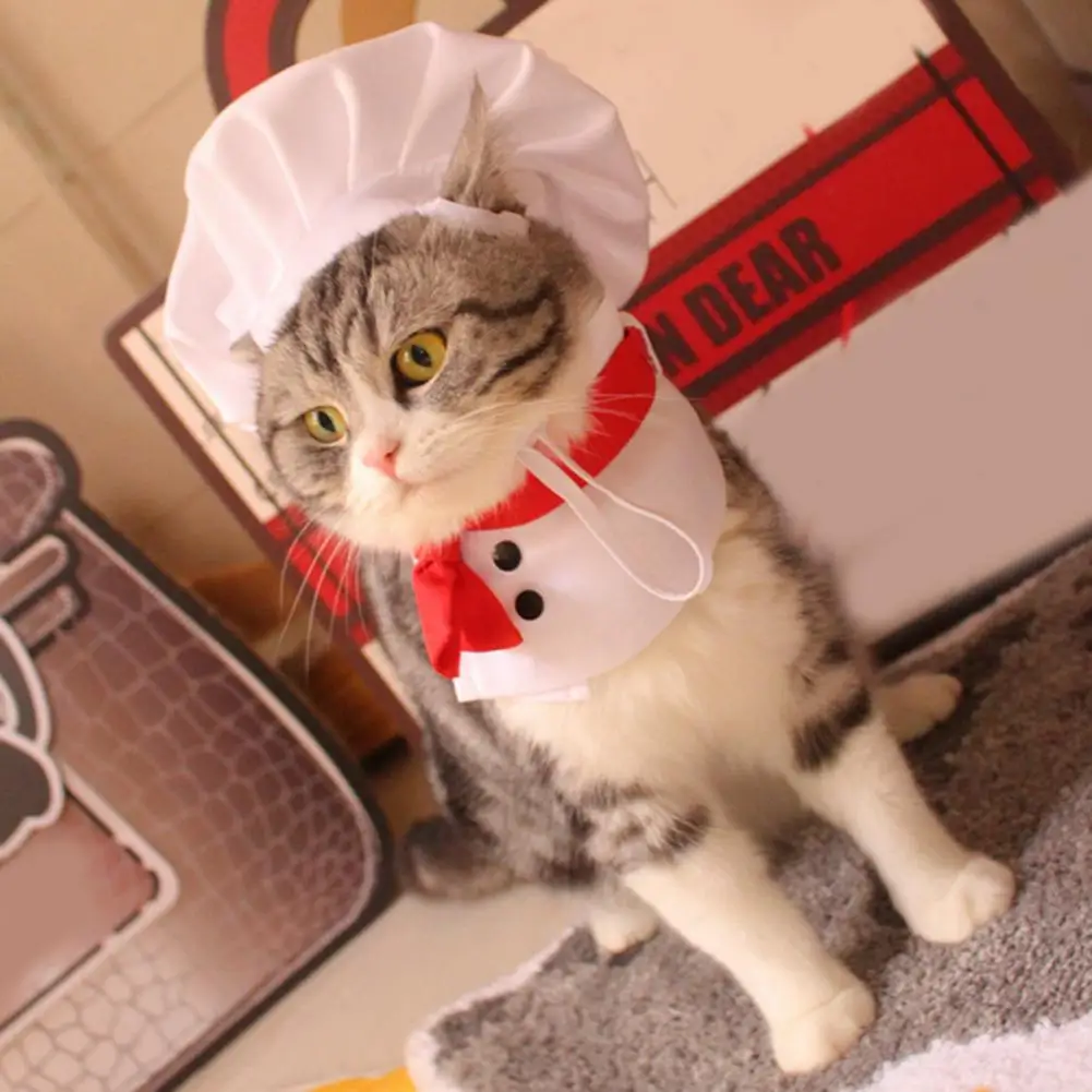 1 Set Pet Hat Soft Buckle Adjustment Funny Comfortable Attractive Dress Up Polyester Chef Appearance Pet Transformation Costume