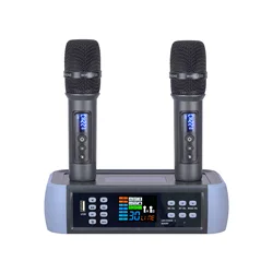 Anti Howling Singing Multi Channel DSP Microphone Professional Echo Microphone Karaoke with Optical Input Hot Sale