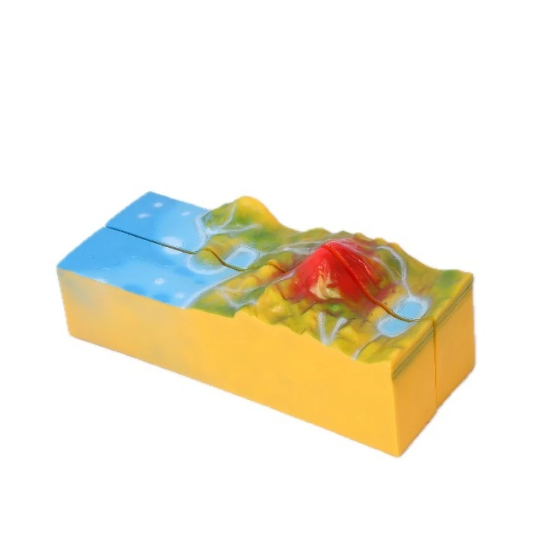 Medical Science Demonstration Models Middle High School Teaching Models PVC Material Durable Desktop Ornaments Volcano Model