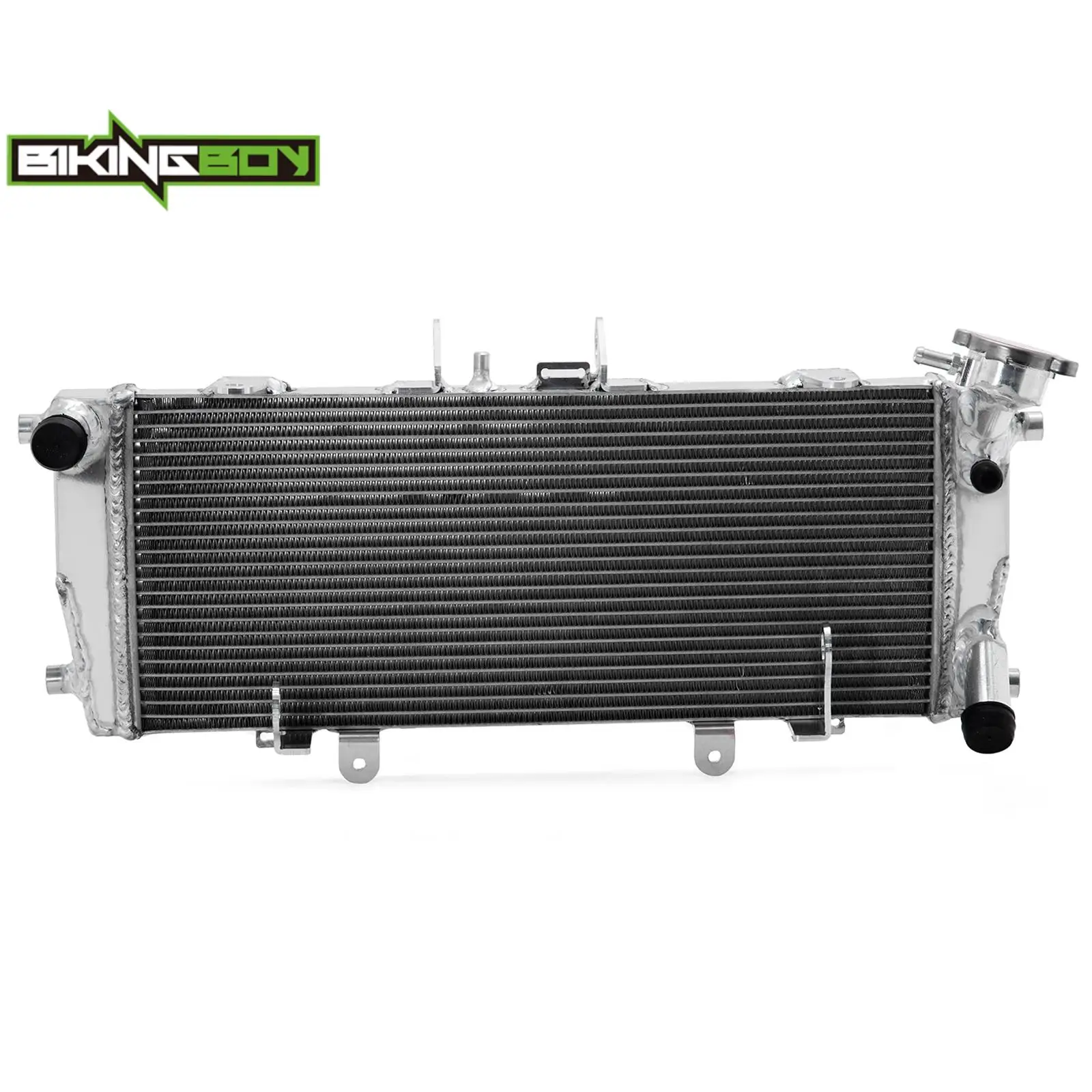 BIKINGBOY For BMW R1200R 14 15 17 18 R1200RS 2015-2018 R1250R R1250RS 18 19 20 21 22 23 24 Engine Radiator Cooling Water Cooler