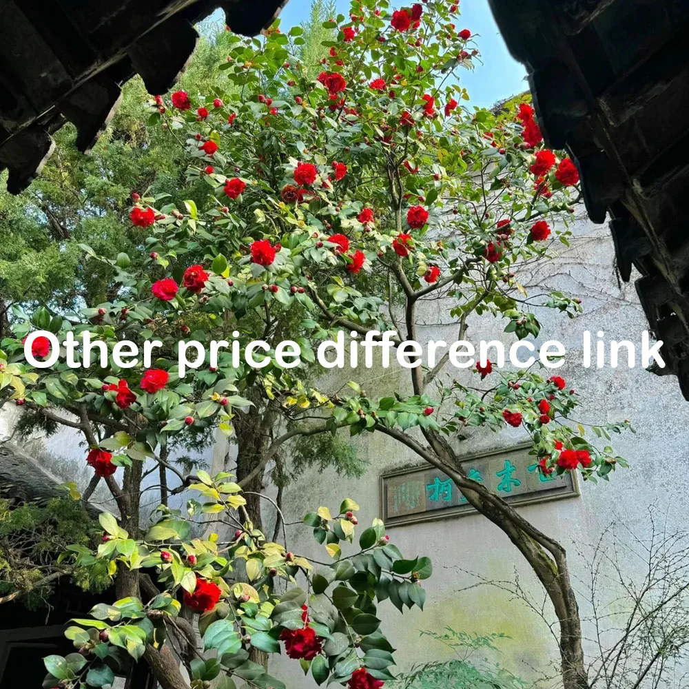 

Other price difference link