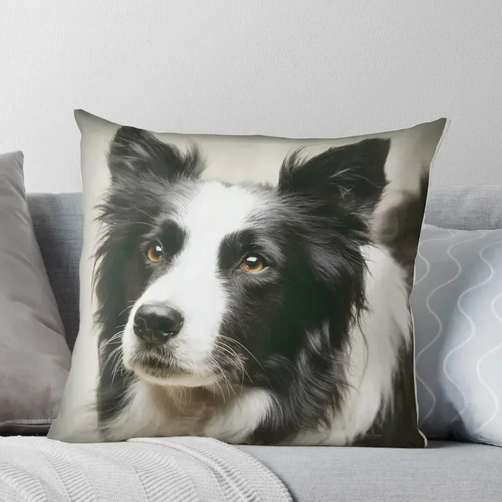 Working Border Collie Throw Pillow pillow cover luxury Plaid Sofa pillow