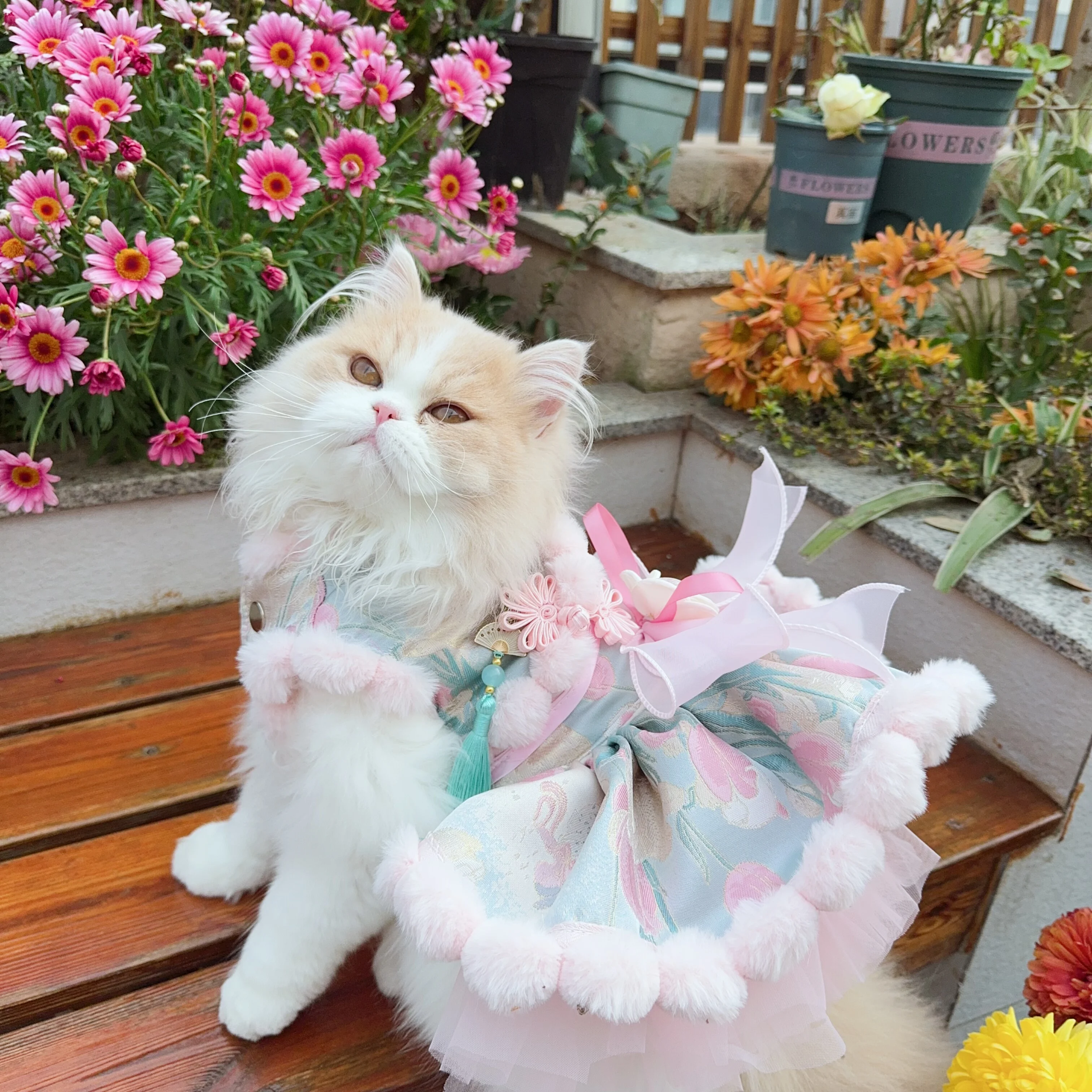 

Одежда для собак в китайском стиле, винтажное плюшевое пальто ручной работы с цветочным принтом, хлопковое платье для маленьких и средних собак, наряды для щенков, одежда для чихуахуа