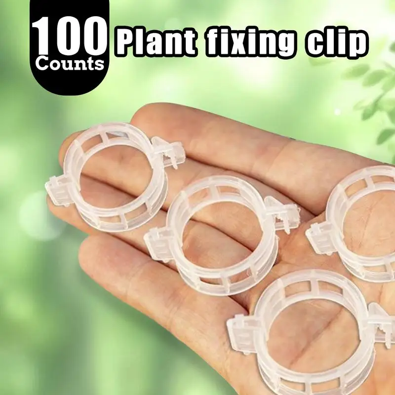 Vine Retaining Clip Clips Reusable Plastic Plant Vine Protection Grafting Fixing Tools for Vegetable Tomato Garden Supplies
