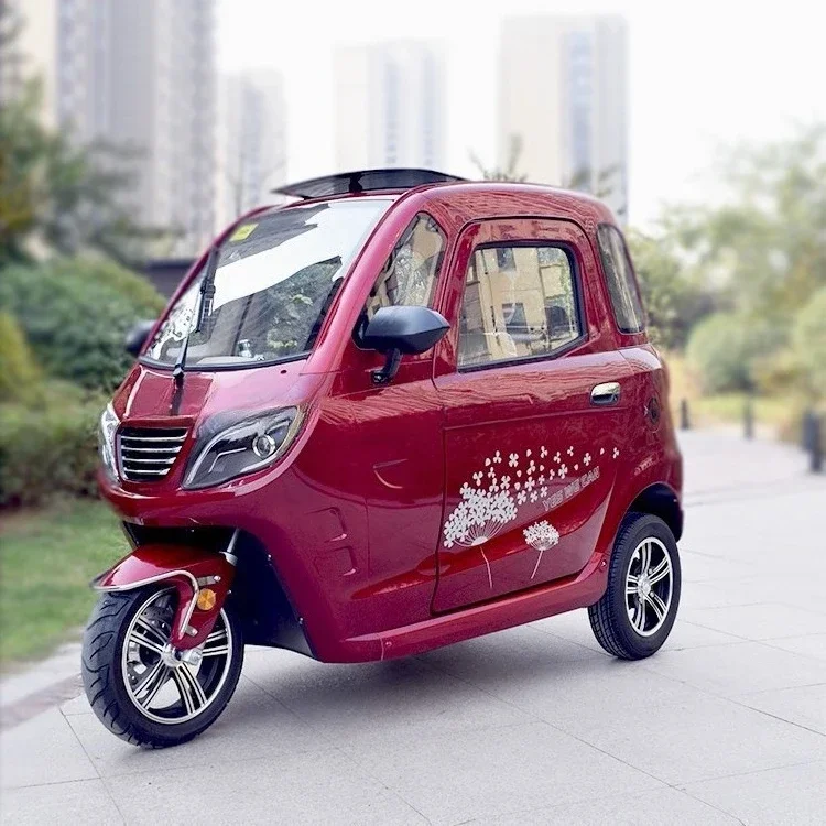 New energy 2 doors 3 seats fully enclosed adult electric tricycle to pick up and drop off children 60V 1000W