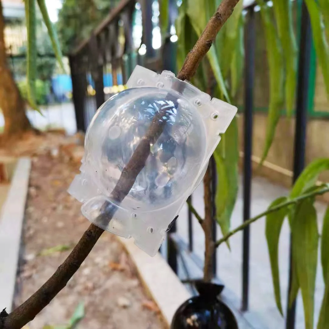 الجملة ارتفاع ضغط انتشار الجذر تزايد صندوق النبات تأصيل الكرة حديقة قابلة لإعادة الاستخدام قطع تطعيم الكرة معدات تربية