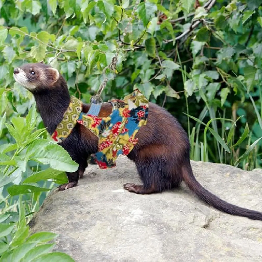 Multicolor Ferret Harness and Leash Set Floral Pattern Adjustable Strap Ferret Harness Vest Wear-resistant Breathable