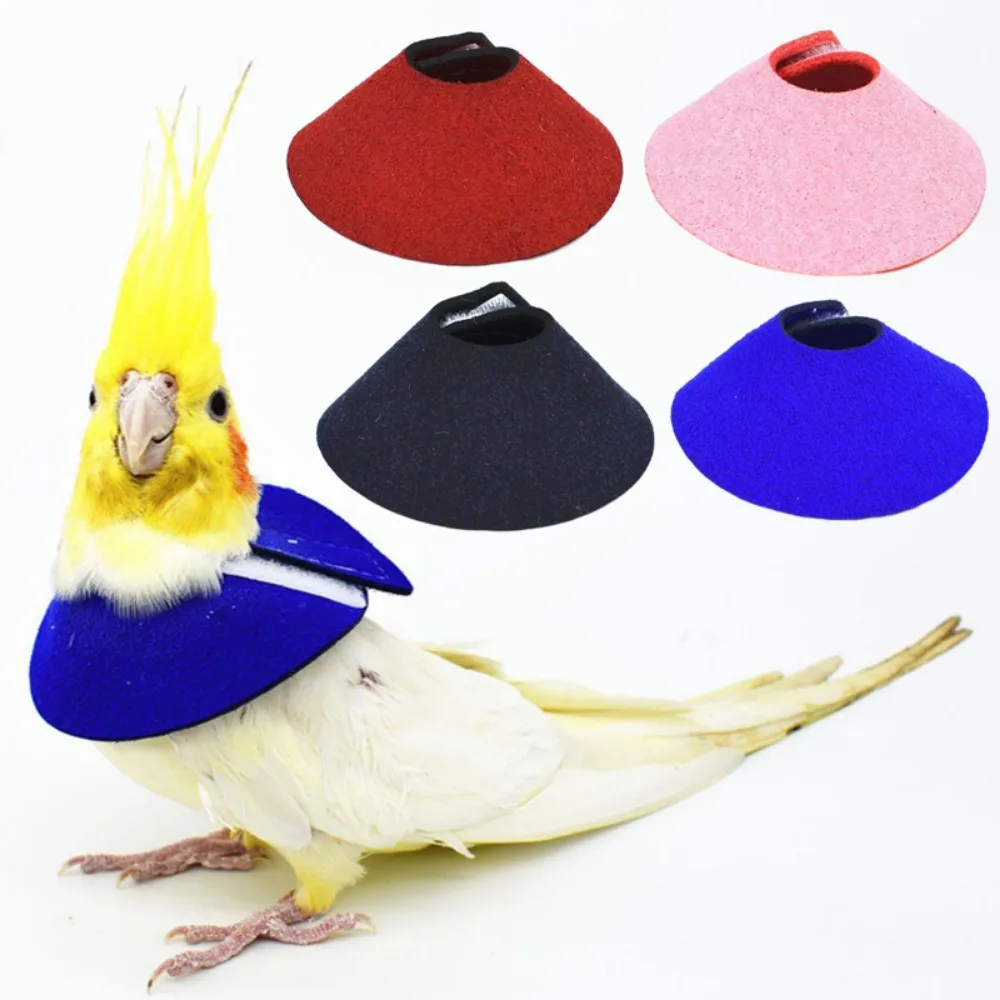 

Bird Accessories Anti-peckin Bird Neck Sleeve Parrot Elizabethan Circle Bird Recovery Collar Bird Cloak