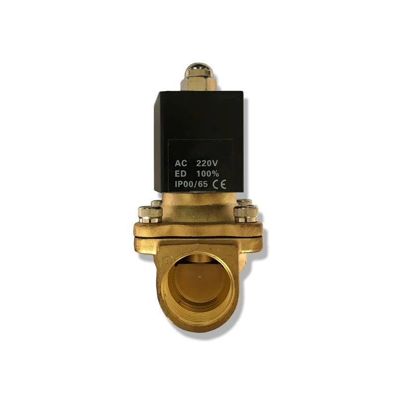 2W160-15 All-copper body coil 4 minutes and 6 minutes Outdoor waterproof and anti-fog solenoid valve 220V 24V 12V