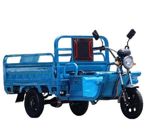 2024 New Model High Quality Electric Cargo Trike Electric Tricycle