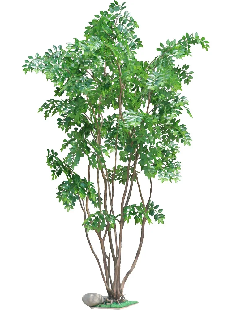 

Моделирование Crape Myrtle Trees Elm Hotel Торговый центр Украшение Большое на земле Зеленое растение Бонсай